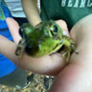 Meet your Posher, Alestor